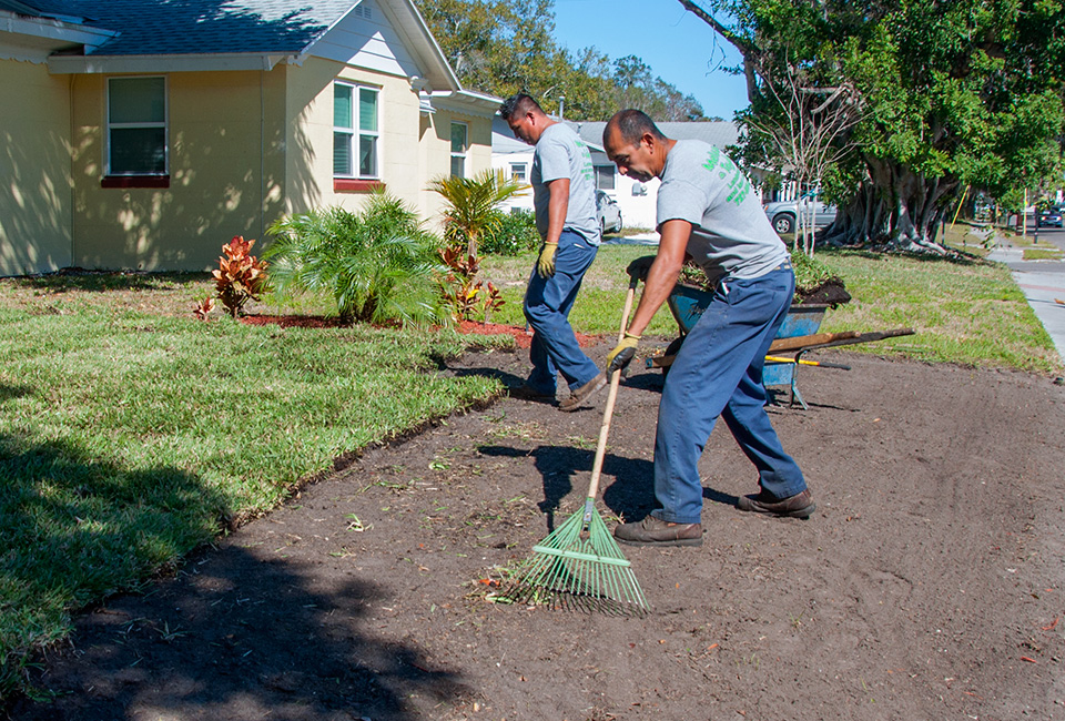 Lawn Care and Maintenance